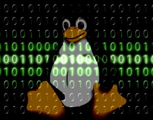 Linux graphic