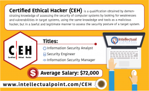 Certified Ethical Hackers Infographic