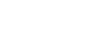 Intellectual Point Logo